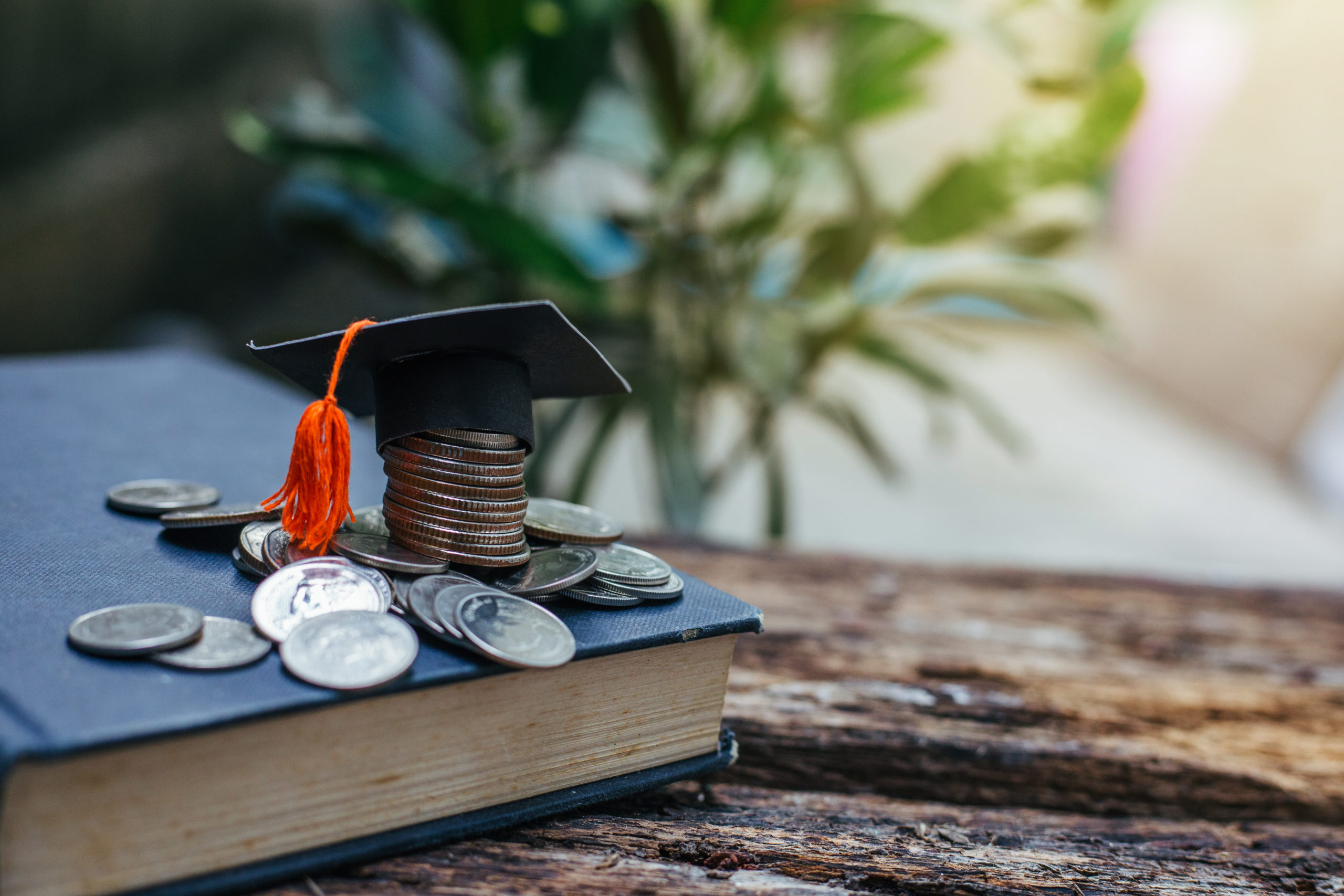 Education Loans Background